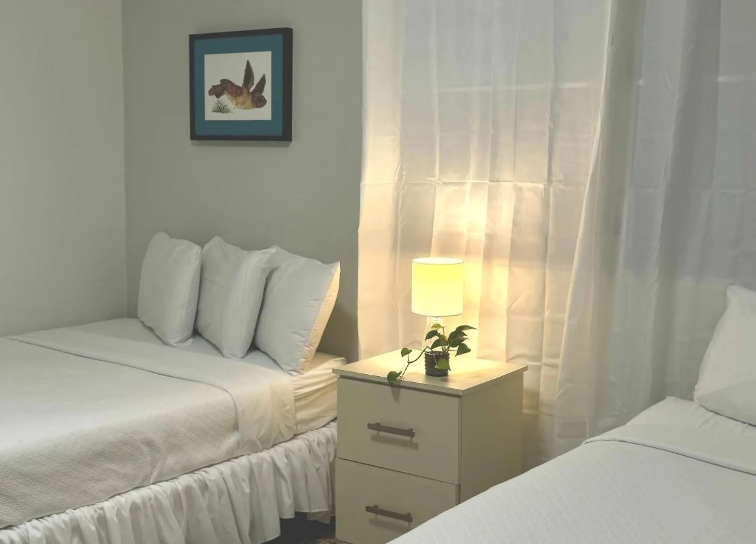 Inn Posada La Hamaca Isla Culebra Puerto Rico